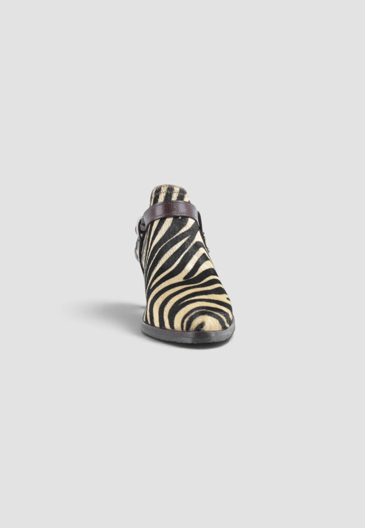 MULE SIMON ZEBRA