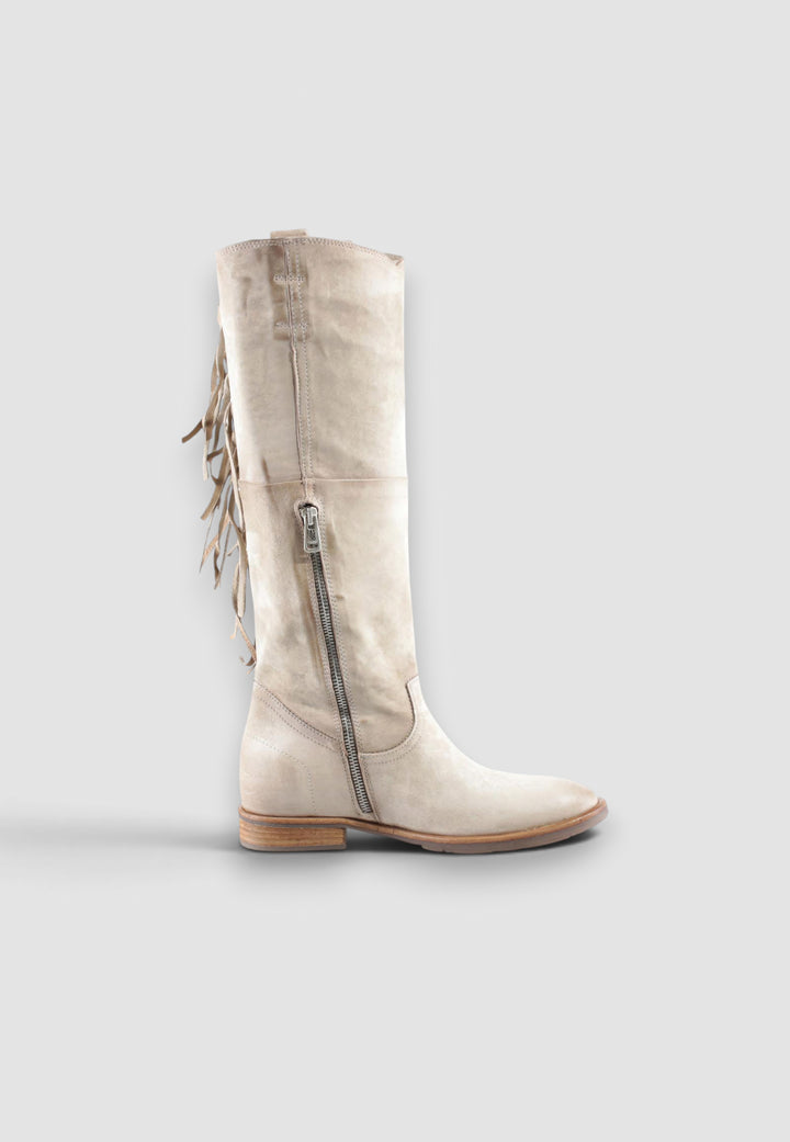 BOTA ILLA CARTON