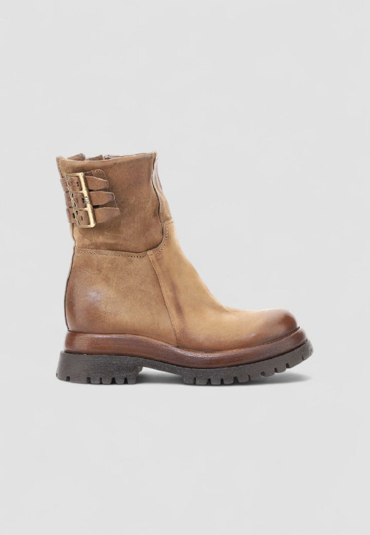 BOTIN DARREL DAINO