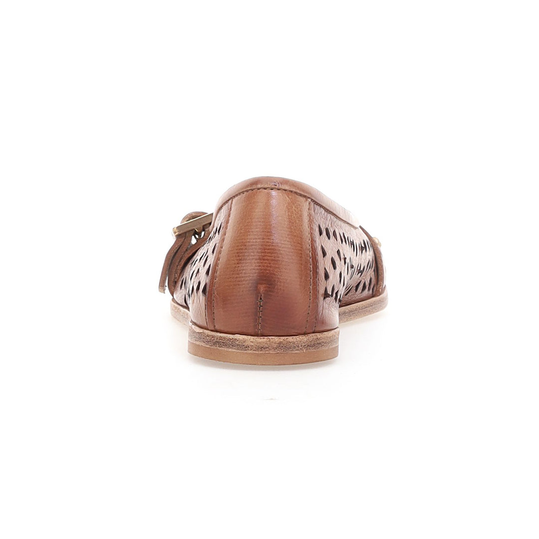 Knox Camel