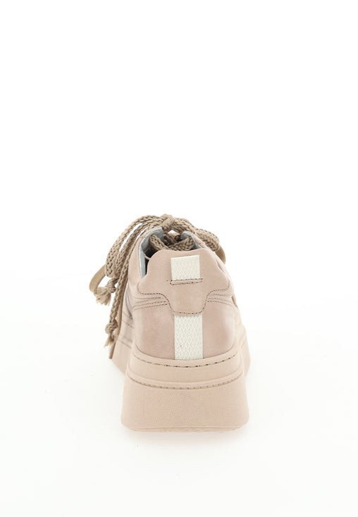 Kuby Beige